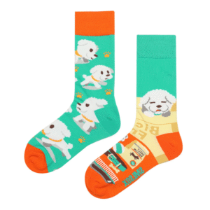 Odd Paired Socks - Bichon Frize