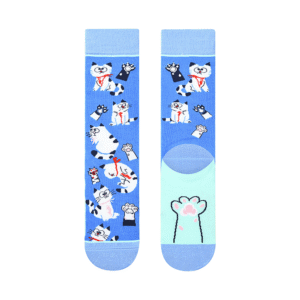 Paired Socks - Cuty Cat